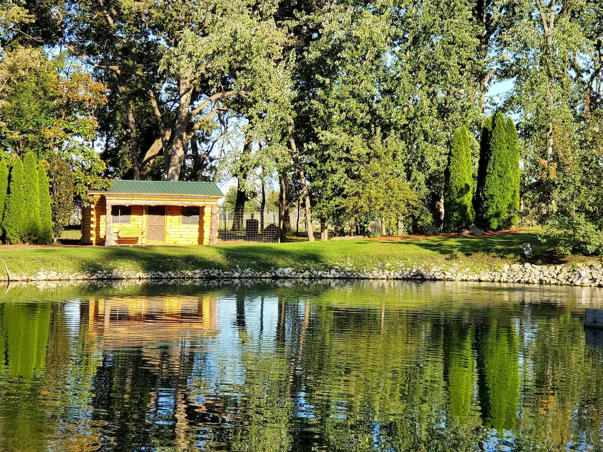 Cabin exterior view at Avanti The Bear Den wildlife sanctuary