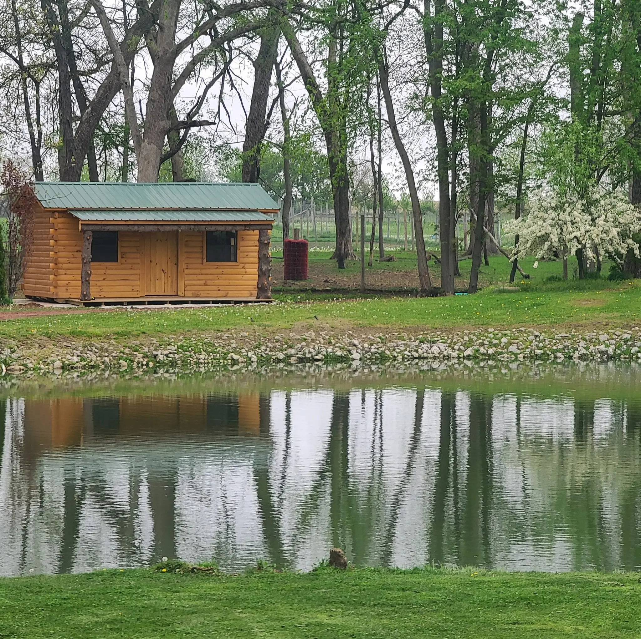 Private cabin wildlife sanctuary stay near Chicago