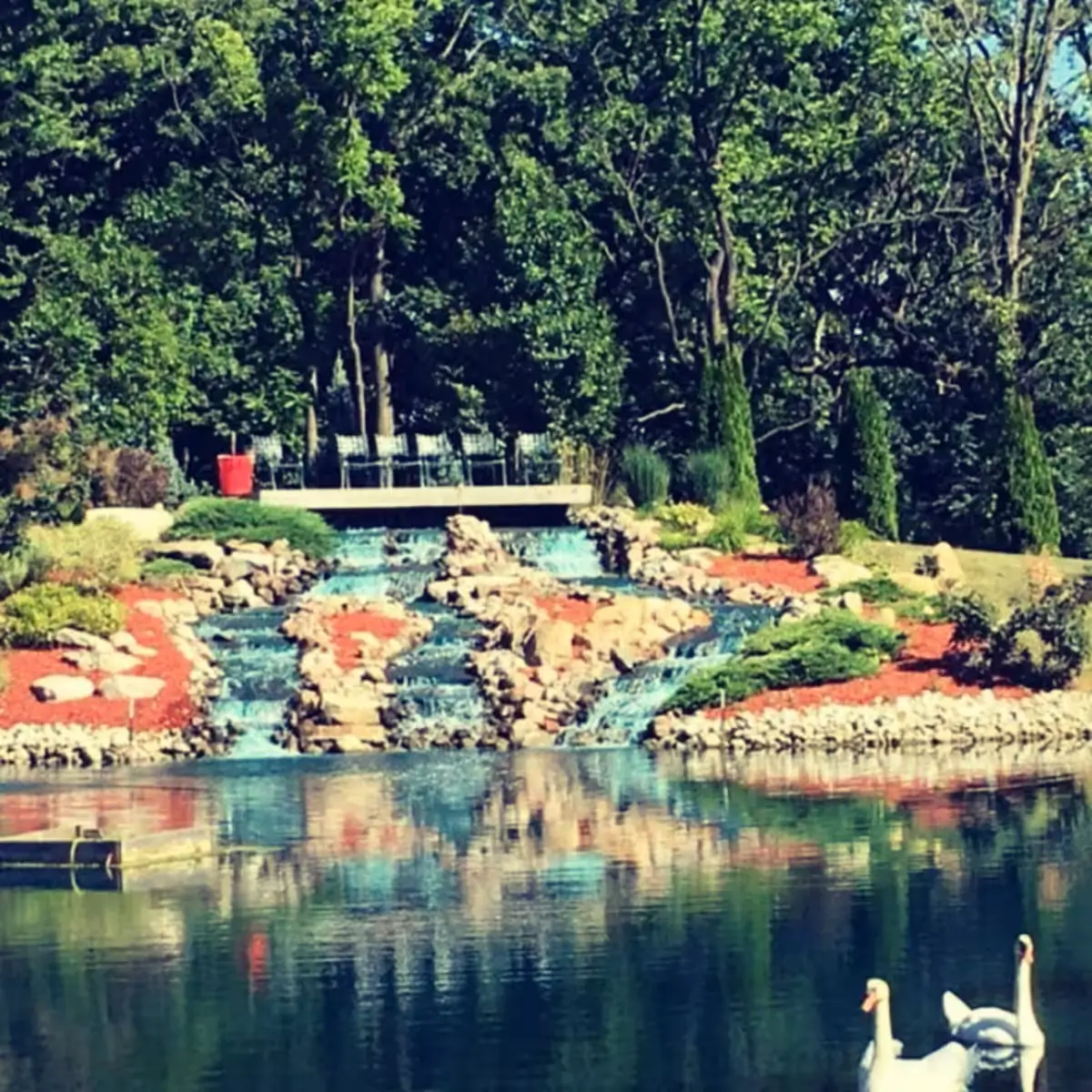 The woodland grounds of Avanti The Bear Den private wildlife sanctuary in Crown Point Indiana