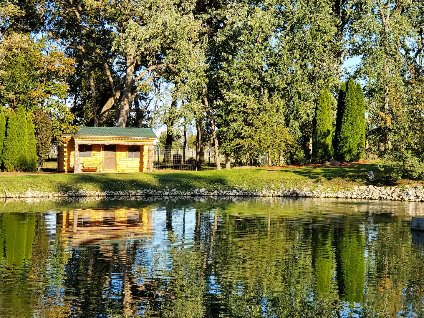 View of the wildlife sanctuary grounds from the cabin at Avanti The Bear Den Crown Point Indiana