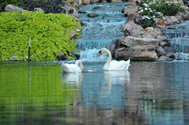 The grounds of Avanti The Bear Den private wildlife sanctuary in Crown Point Indiana